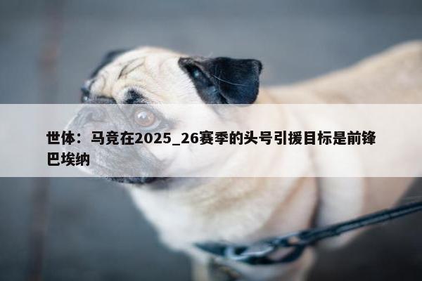 世体：马竞在2025_26赛季的头号引援目标是前锋巴埃纳