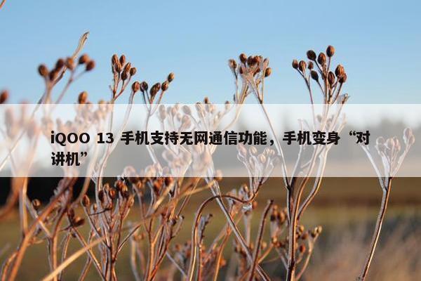 iQOO 13 手机支持无网通信功能，手机变身“对讲机”