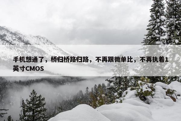 手机想通了，桥归桥路归路，不再跟微单比，不再执着1英寸CMOS