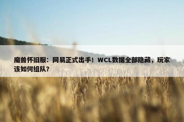 魔兽怀旧服：网易正式出手！WCL数据全部隐藏，玩家该如何组队？