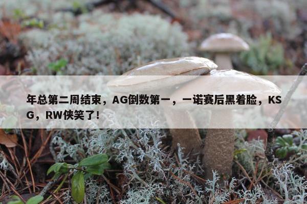 年总第二周结束，AG倒数第一，一诺赛后黑着脸，KSG，RW侠笑了！