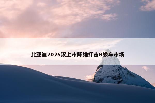 比亚迪2025汉上市降维打击B级车市场