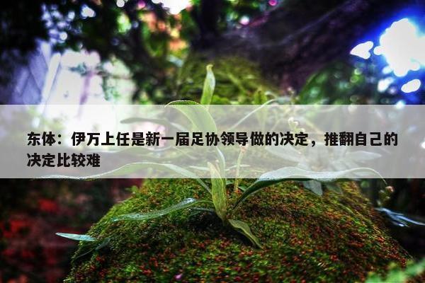 东体：伊万上任是新一届足协领导做的决定，推翻自己的决定比较难