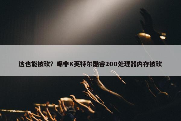 这也能被砍？曝非K英特尔酷睿200处理器内存被砍