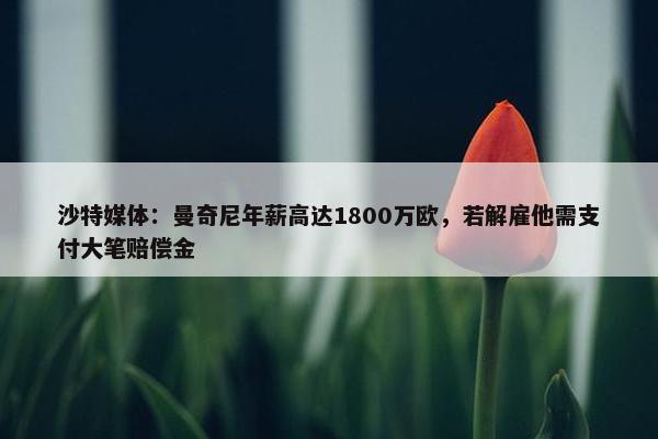 沙特媒体：曼奇尼年薪高达1800万欧，若解雇他需支付大笔赔偿金