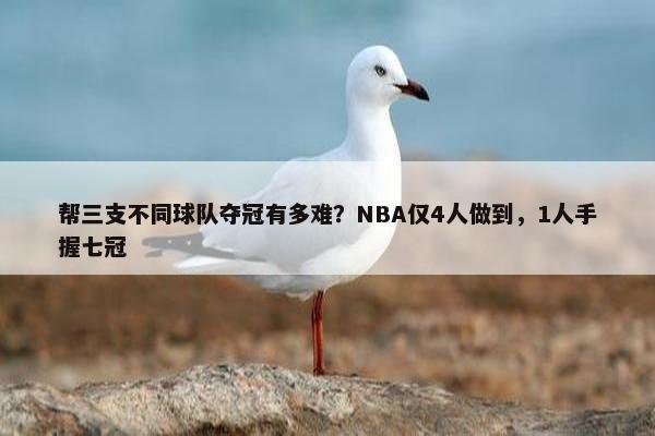 帮三支不同球队夺冠有多难？NBA仅4人做到，1人手握七冠