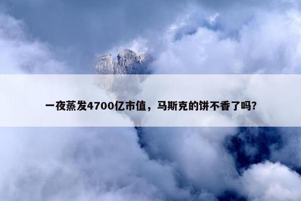 一夜蒸发4700亿市值，马斯克的饼不香了吗？