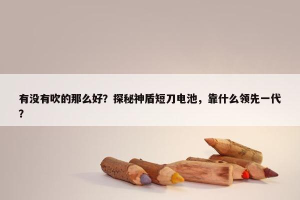 有没有吹的那么好？探秘神盾短刀电池，靠什么领先一代？