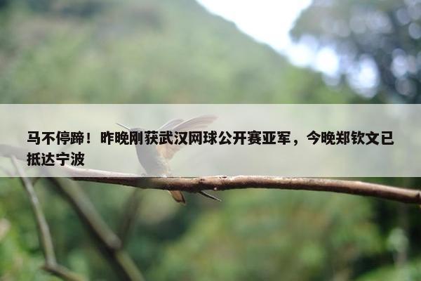 马不停蹄！昨晚刚获武汉网球公开赛亚军，今晚郑钦文已抵达宁波