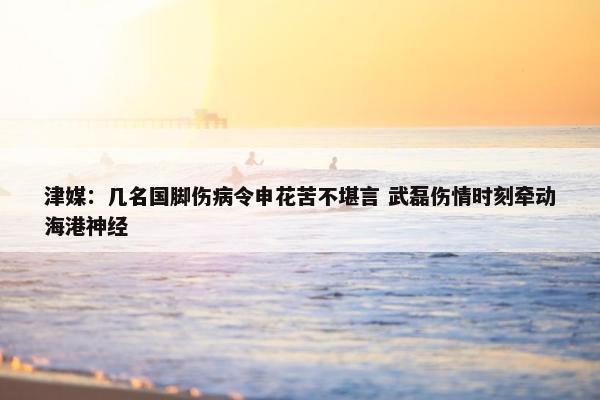 津媒：几名国脚伤病令申花苦不堪言 武磊伤情时刻牵动海港神经