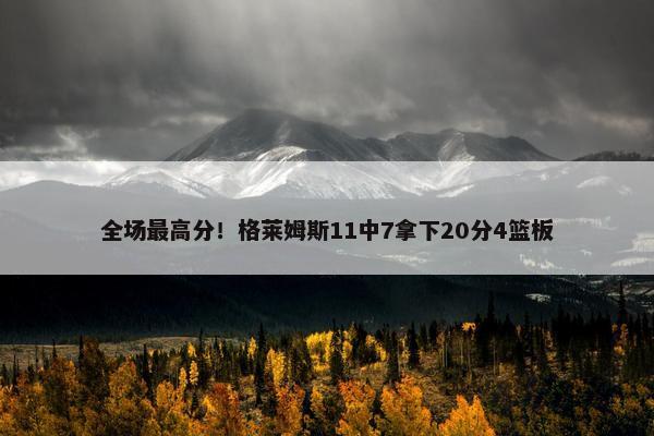 全场最高分！格莱姆斯11中7拿下20分4篮板