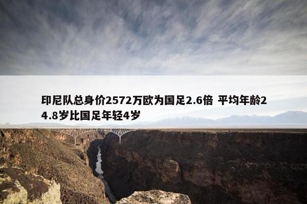 印尼队总身价2572万欧为国足2.6倍 平均年龄24.8岁比国足年轻4岁