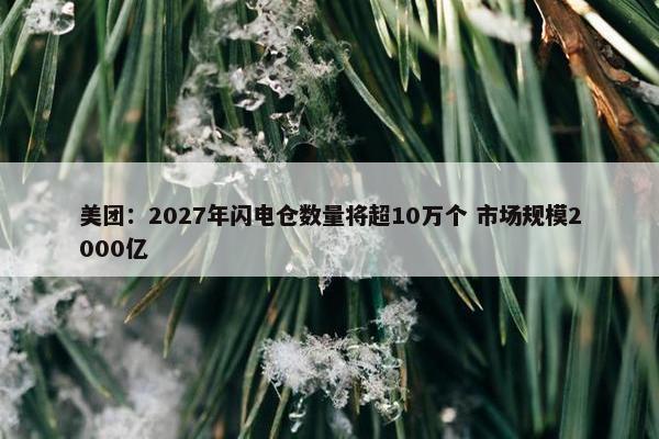 美团：2027年闪电仓数量将超10万个 市场规模2000亿