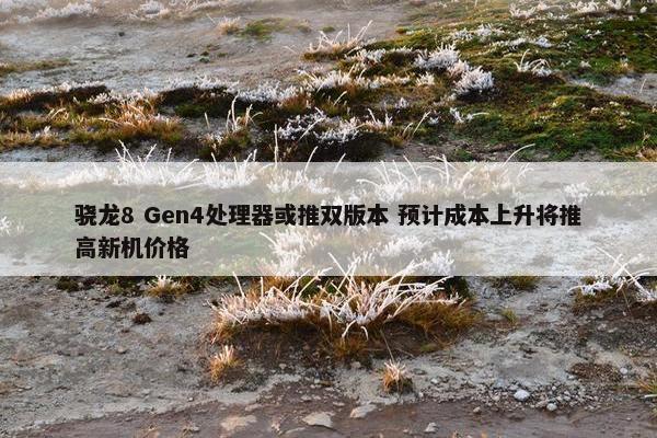 骁龙8 Gen4处理器或推双版本 预计成本上升将推高新机价格