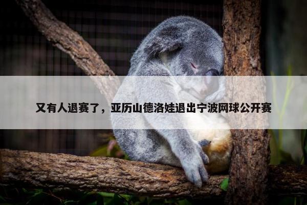 又有人退赛了，亚历山德洛娃退出宁波网球公开赛