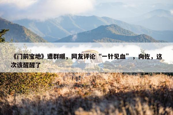 《门前宝地》遭群嘲，网友评论“一针见血”，向佐，这次该醒醒了