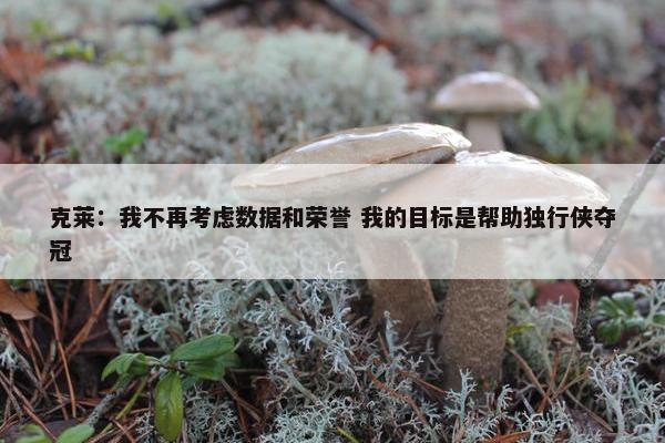 克莱：我不再考虑数据和荣誉 我的目标是帮助独行侠夺冠