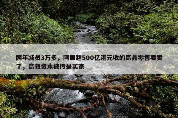 两年减员3万多，阿里超500亿港元收的高鑫零售要卖了，高瓴资本被传是买家