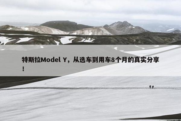 特斯拉Model Y，从选车到用车8个月的真实分享！