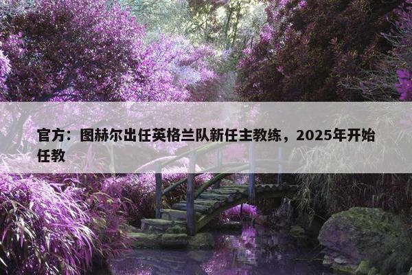 官方：图赫尔出任英格兰队新任主教练，2025年开始任教