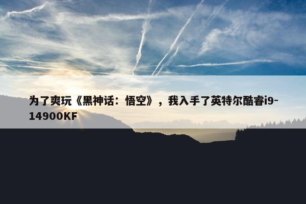 为了爽玩《黑神话：悟空》，我入手了英特尔酷睿i9-14900KF