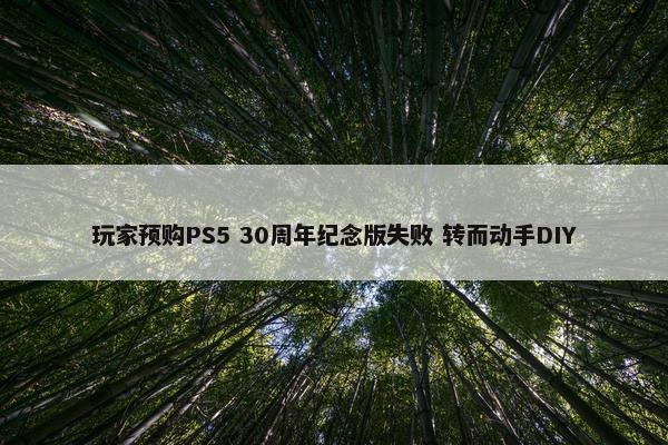 玩家预购PS5 30周年纪念版失败 转而动手DIY