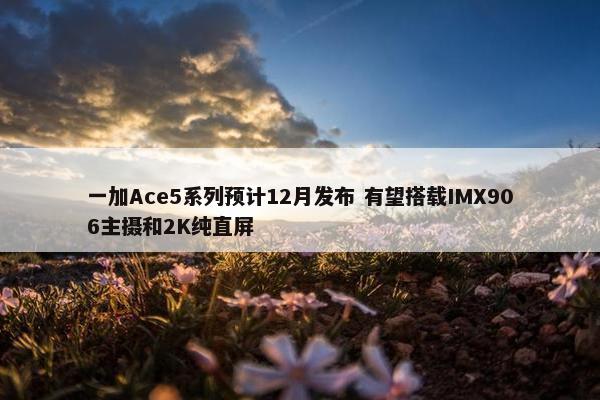 一加Ace5系列预计12月发布 有望搭载IMX906主摄和2K纯直屏