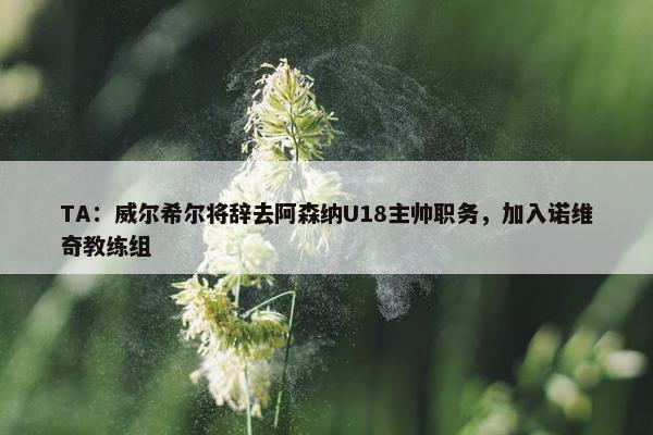 TA：威尔希尔将辞去阿森纳U18主帅职务，加入诺维奇教练组