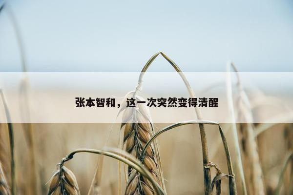 张本智和，这一次突然变得清醒