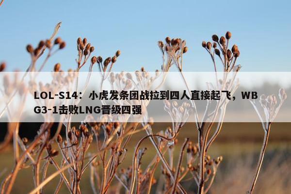 LOL-S14：小虎发条团战拉到四人直接起飞，WBG3-1击败LNG晋级四强