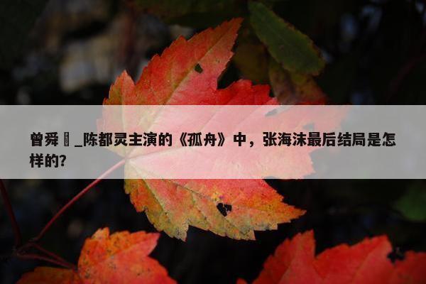 曾舜晞_陈都灵主演的《孤舟》中，张海沫最后结局是怎样的？