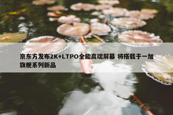 京东方发布2K+LTPO全能高端屏幕 将搭载于一加旗舰系列新品