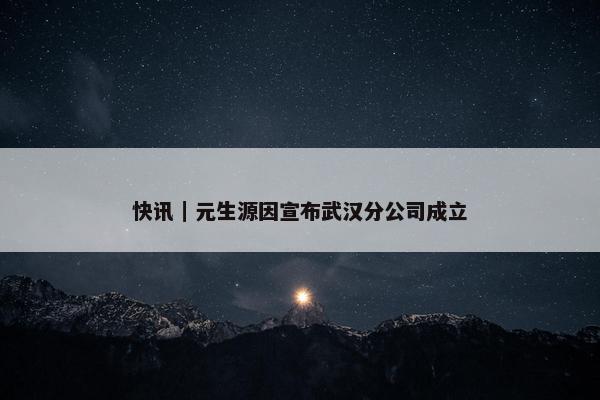 快讯｜元生源因宣布武汉分公司成立