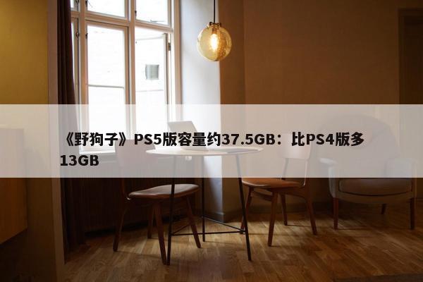 《野狗子》PS5版容量约37.5GB：比PS4版多13GB