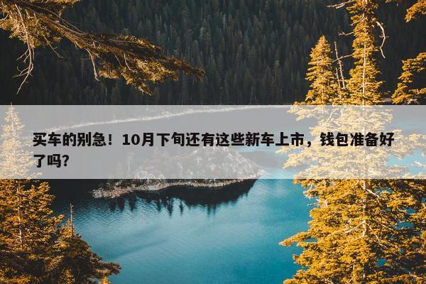 买车的别急！10月下旬还有这些新车上市，钱包准备好了吗？