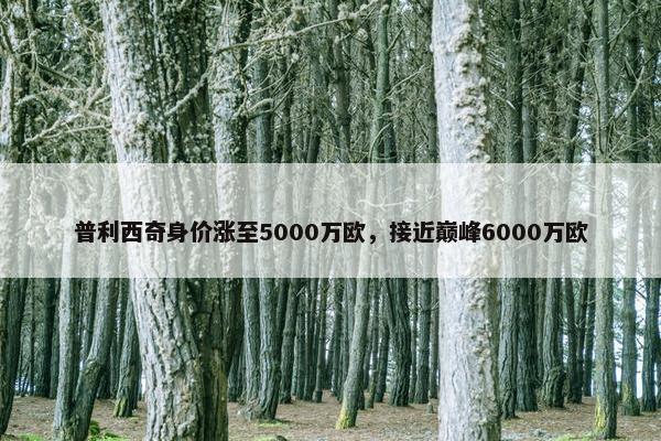 普利西奇身价涨至5000万欧，接近巅峰6000万欧