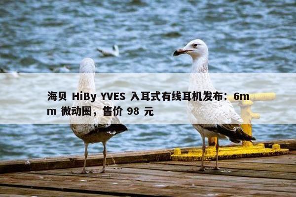 海贝 HiBy YVES 入耳式有线耳机发布：6mm 微动圈，售价 98 元