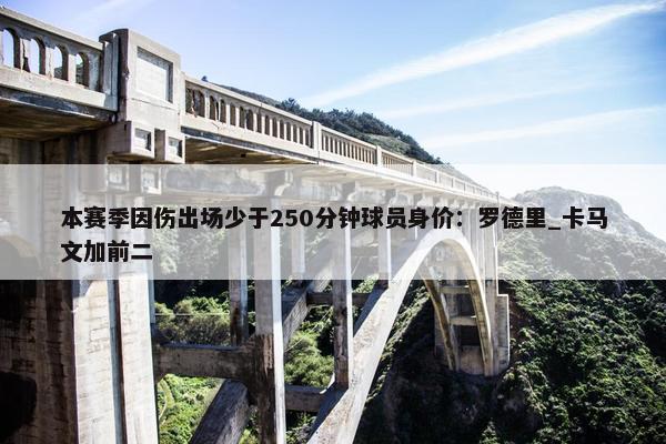 本赛季因伤出场少于250分钟球员身价：罗德里_卡马文加前二