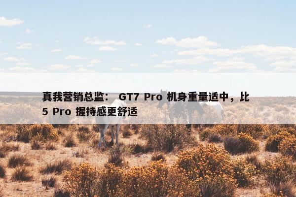 真我营销总监： GT7 Pro 机身重量适中，比 5 Pro 握持感更舒适