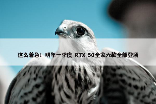 这么着急！明年一季度 RTX 50全家六款全部登场