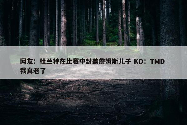 网友：杜兰特在比赛中封盖詹姆斯儿子 KD：TMD 我真老了