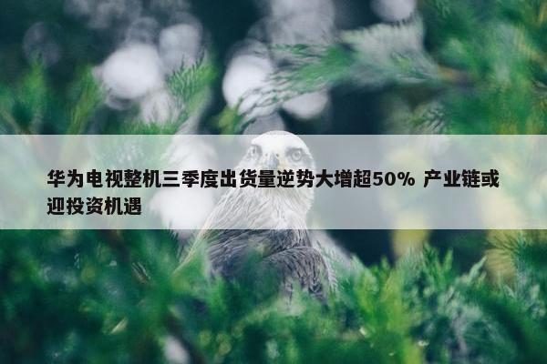 华为电视整机三季度出货量逆势大增超50% 产业链或迎投资机遇