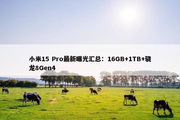 小米15 Pro最新曝光汇总：16GB+1TB+骁龙8Gen4