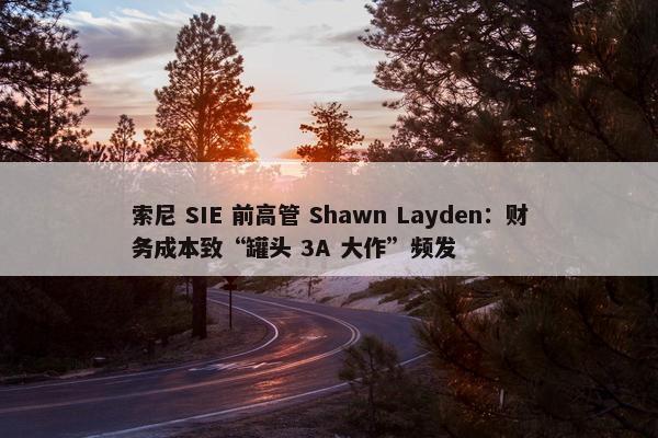 索尼 SIE 前高管 Shawn Layden：财务成本致“罐头 3A 大作”频发