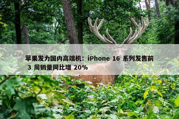 苹果发力国内高端机：iPhone 16 系列发售前 3 周销量同比增 20%