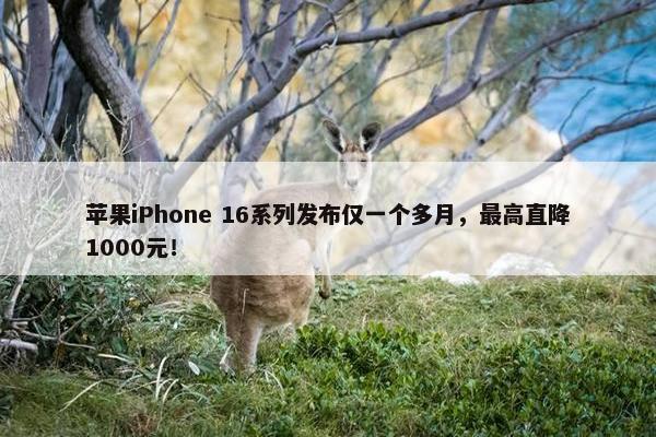 苹果iPhone 16系列发布仅一个多月，最高直降1000元！