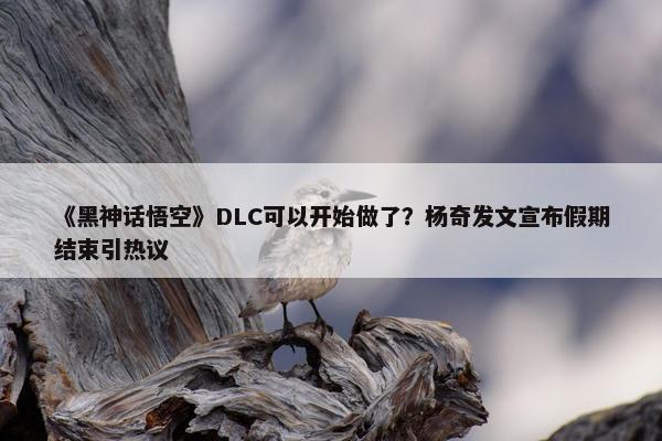 《黑神话悟空》DLC可以开始做了？杨奇发文宣布假期结束引热议