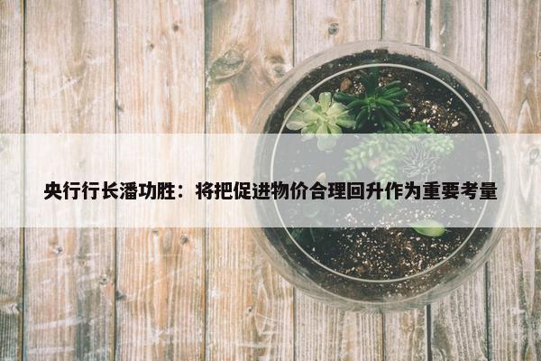 央行行长潘功胜：将把促进物价合理回升作为重要考量