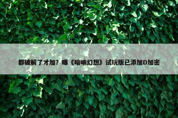 都破解了才加？曝《暗喻幻想》试玩版已添加D加密