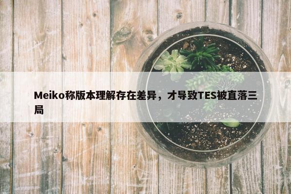 Meiko称版本理解存在差异，才导致TES被直落三局